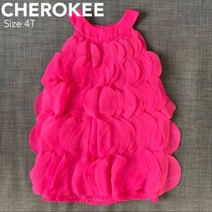 🎀Girls Dreas • Size 4T🎀